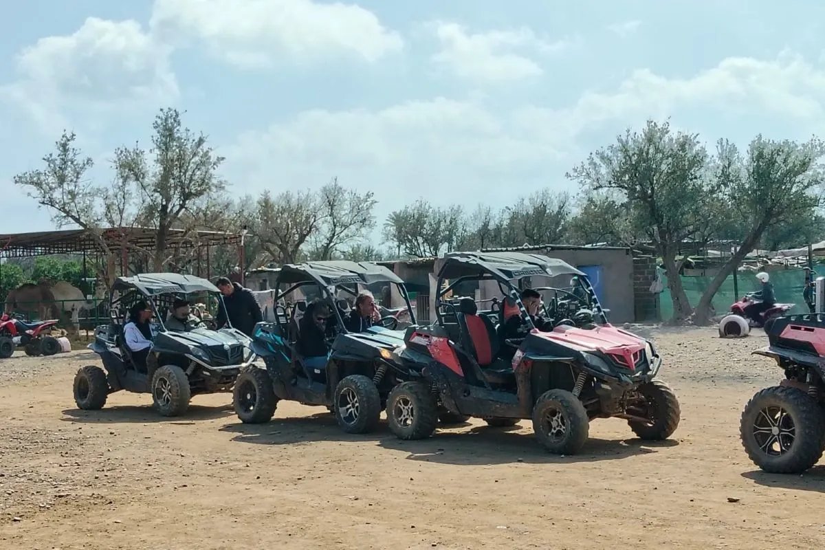 Buggy Palmeraie
