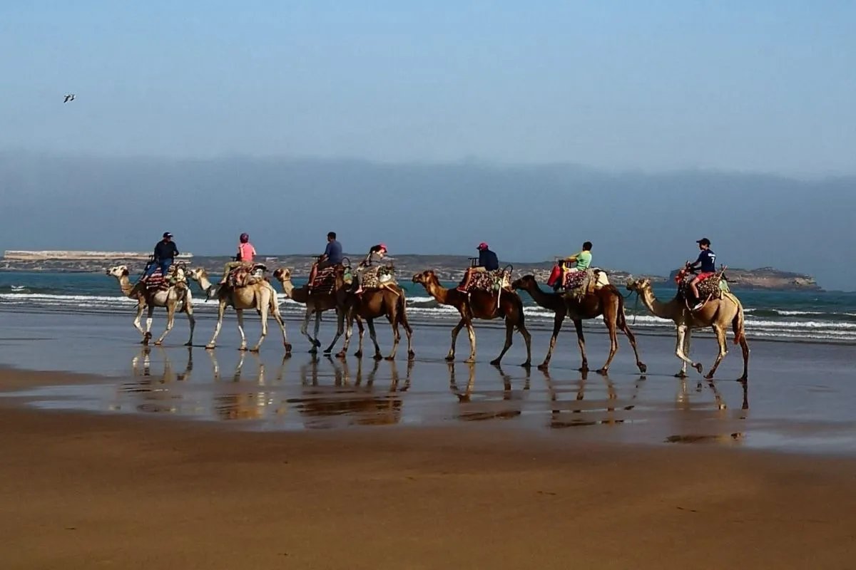 Pourquoi j'emmène mes clients à Essaouira en privé