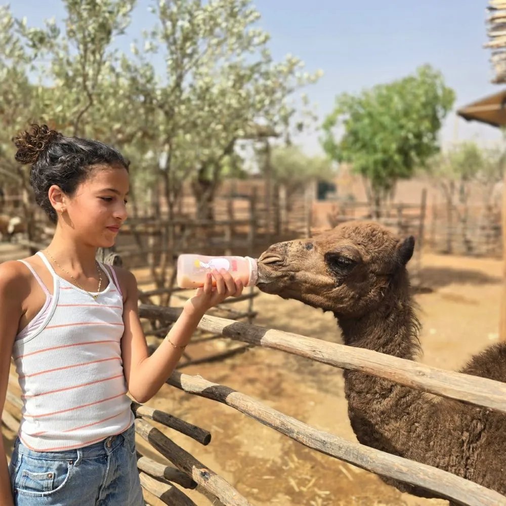 Secret Family Farm Marrakech Ferme Pédagogique et Ateliers Créatifs — photo 3