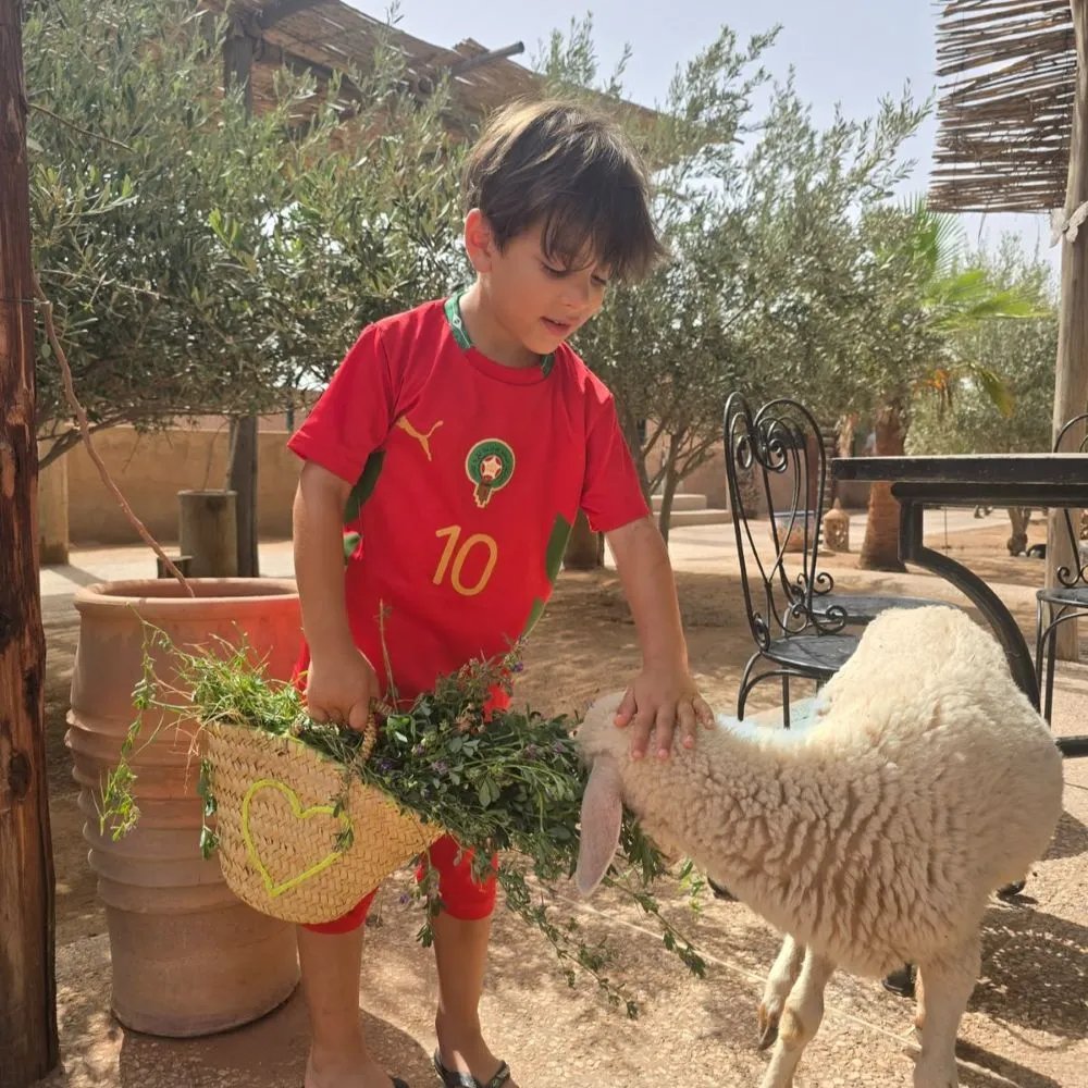 Secret Family Farm Marrakech Ferme Pédagogique et Ateliers Créatifs — photo 2