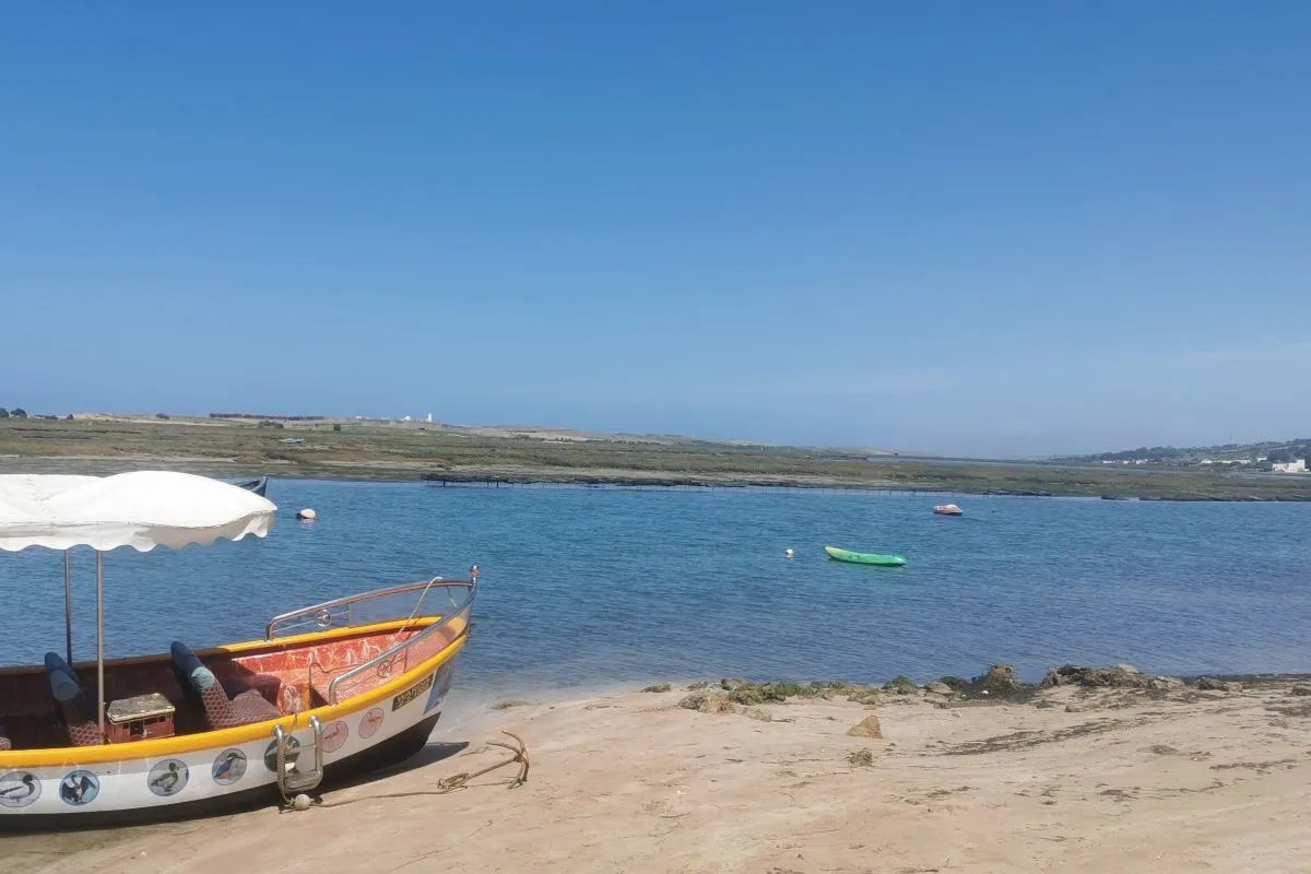 Mouette bateau bleu port de pêche Essaouira Mogador
