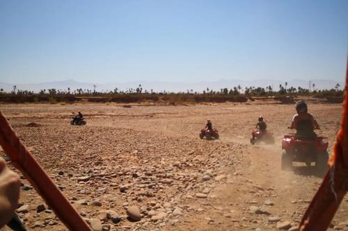 Buggy dans la Palmeraie avec mes enfants : mon retour honnête