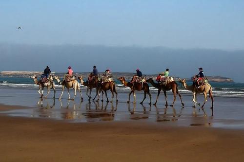 Pourquoi j'emmène mes clients à Essaouira en privé